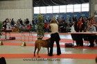 Asuka - International dogshow - Fribourg, Swiss